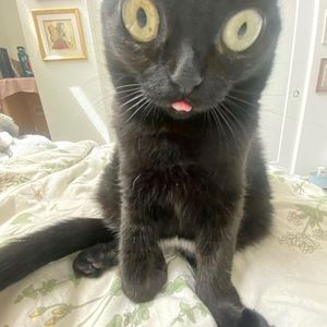 Meet your Posher, Aly